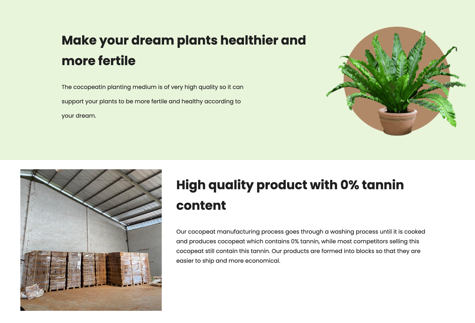 Cocopeatin – Sales-Driven Landing Page